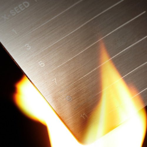 SecuX XSeed - EcomToros