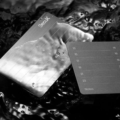 SecuX XSeed - EcomToros